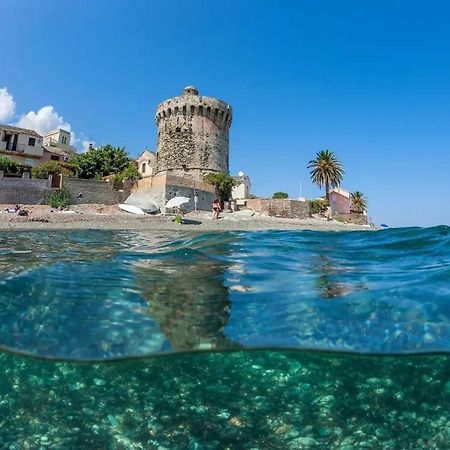 Agreable Studio Debut Cap Corse Proche Bastia San-Martino-di-Lota Dış mekan fotoğraf