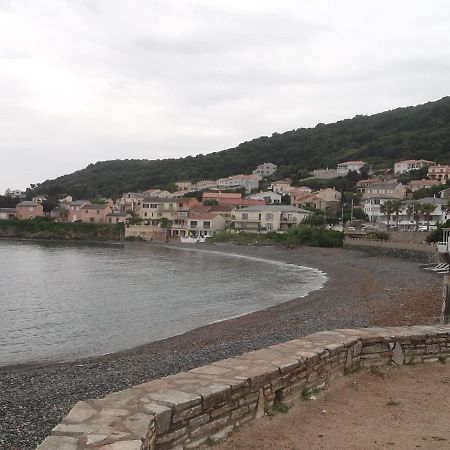 Agreable Studio Debut Cap Corse Proche Bastia San-Martino-di-Lota Dış mekan fotoğraf