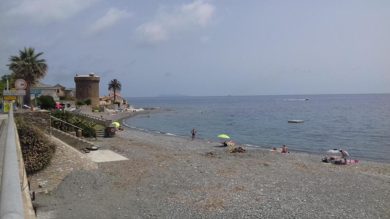 Agreable Studio Debut Cap Corse Proche Bastia San-Martino-di-Lota Dış mekan fotoğraf