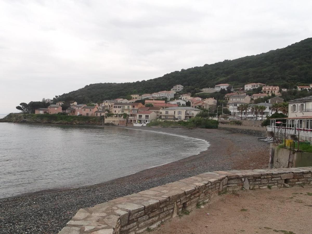 Agreable Studio Debut Cap Corse Proche Bastia San-Martino-di-Lota Dış mekan fotoğraf
